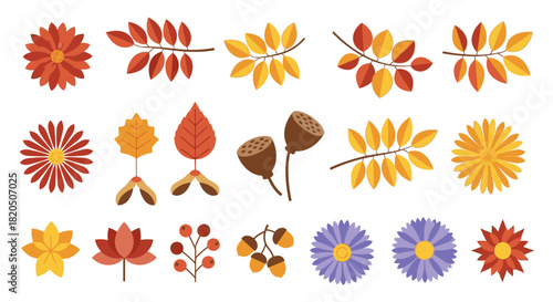 A vibrant collection of autumn elements including colorful leaves, flowers, berries, and seed pods, perfect for fall designs.