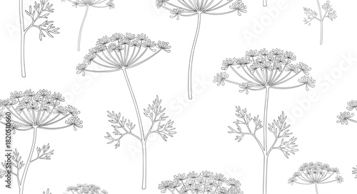 Elegant seamless black and white pattern of dill or fennel flowers, drawn in a delicate dashed line embroidery style.