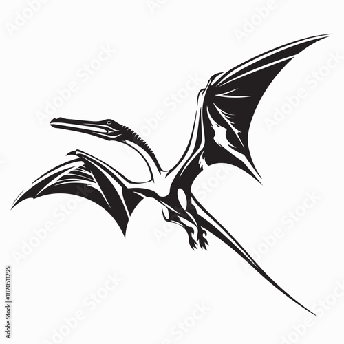 Pterodactylus Flying Prehistoric Creature Vector on white background