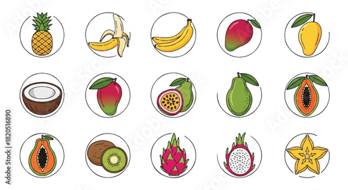 Colorful tropical fruit icons pineapple, banana, mango, papaya, kiwi, and dragon fruit in circle design