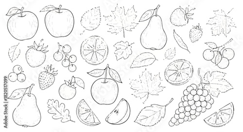 Black and white fruit illustration collection featuring apples, pears, grapes, and citrus