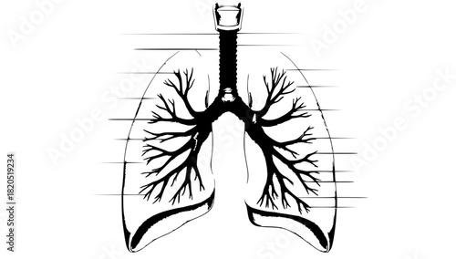 silhouette of a woman with bamboo