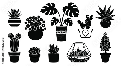 Black and white vector illustration of various potted houseplants