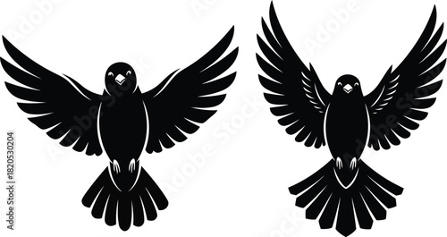 Two flying birds vector illustration black silhouette design isolated eps