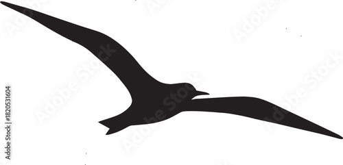 black and white silhouette of a bird gliding smoothly with long wings stretched horizontally and a clean aerodynamic shape