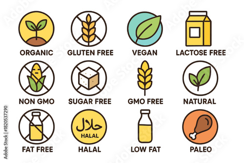 set of various jewellery illustrated as a flat vector collection on a white background