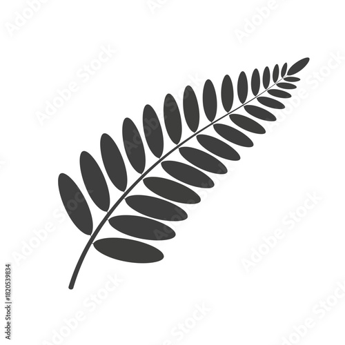 Simple dark silhouette of a fern frond with oval leaflets vector illustration