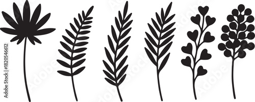 Collection of six black silhouette botanical elements with varied leaf shapes on a white background plant on transparent background