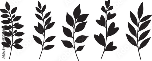 Five black silhouette branches with small leaves arranged vertically on a white background plant leaf on transparent background