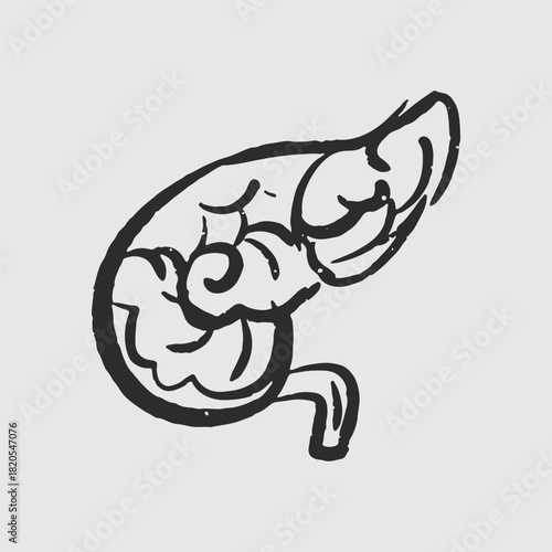 Illustration of an Handdrawn Doodle Human Organ pancreeas