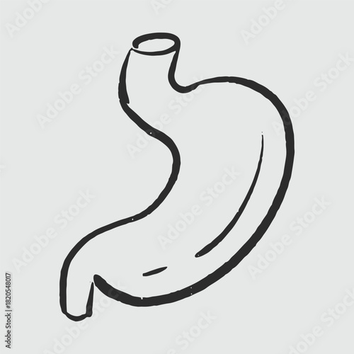 Illustration of an Handdrawn Doodle Human Organ stomach