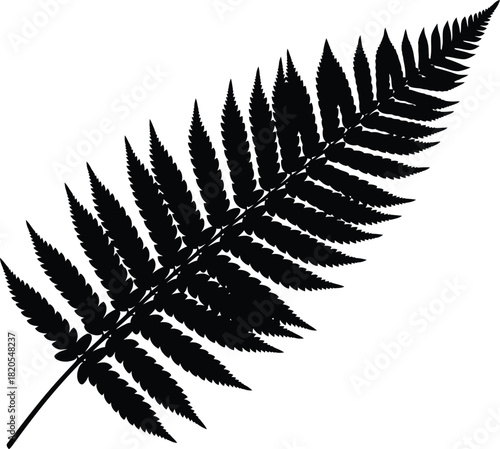 Fern silhouette vector graphic botanical illustration nature design eps