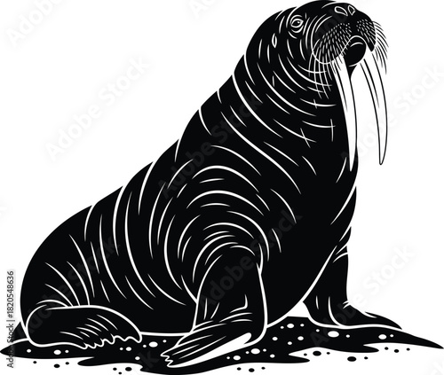 Isolated black walrus illustration vector image sea mammal arctic animal eps silhouette
