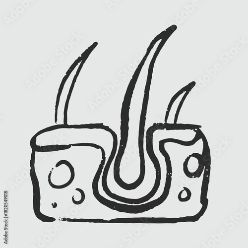 Illustration of an Handdrawn Doodle Human Organ hair folicle