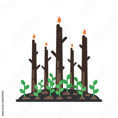 Forest regeneration: new growth amidst burnt trees. climate hope.