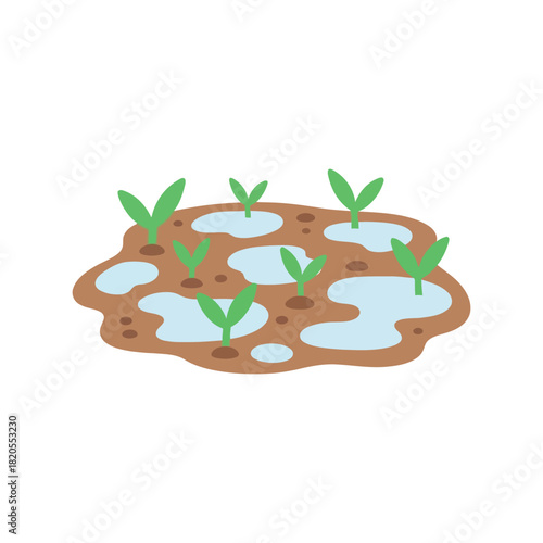 Freshly planted seedlings growth in moist garden soil