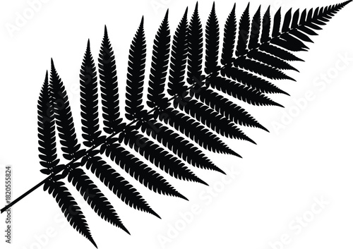 Fern leaf silhouette vector illustration botanical design element art eps