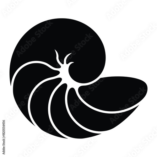 Elegant black spiral design resembling a nautilus shell or a logarithmic spiral, symbolizing growth, evolution, and harmony in nature and mathematics