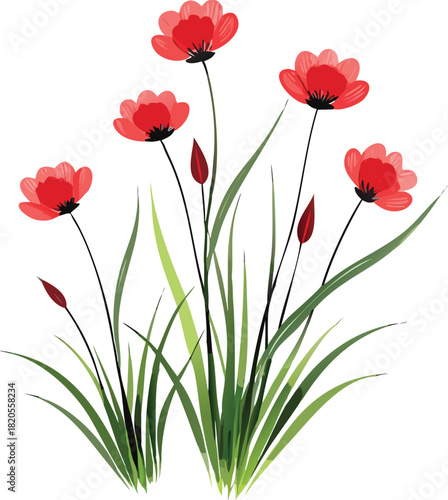 A vibrant illustration of several bright red poppy flowers with slender green stems