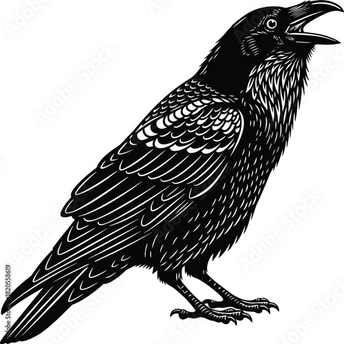 Black and white raven crow illustration vector graphic design art bird eps silhouette
