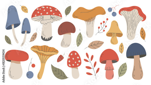 Assorted Hand Drawn Mushrooms And Autumn Leaves fungi
