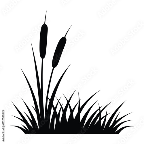 Black silhouette of cattails and tall grass growing in a marshy area, depicted as a simple graphic element, isolated on