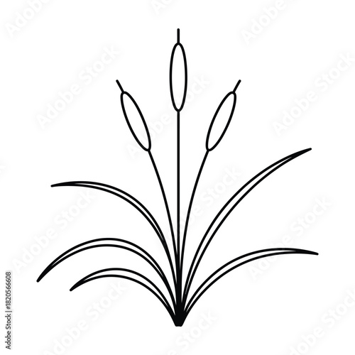 Stylized outline drawing of a group of cattail plants, featuring three prominent flower heads and several long, flowing leaves, isolated on