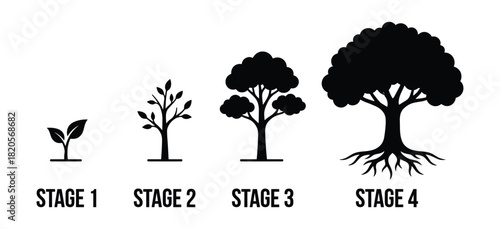 Tree growth stages, showing a plant's life cycle from a small sprout to a mature large tree.
