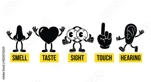 Understanding the five senses educational diagram for children