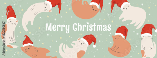 Merry Christmas vector illustration with cute hand drawn cats In Santa hat and lettering isolated on light green background. Holiday animal design template for card, invitation, web banner