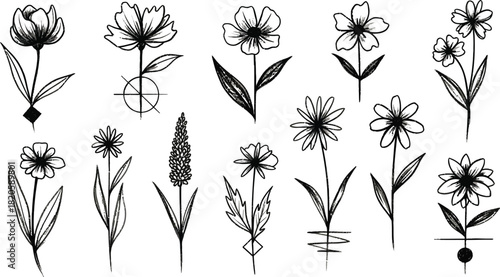 Elegant floral sketches showcasing botanical line art for tattoo design ideas