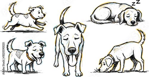 Hand drawn illustration of dogs in various poses on a white textured background