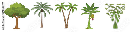 Cartoon Group of Trees Including Palm, Coconut, Tree and Banana Tree Illustration.
