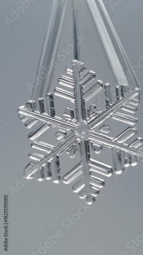 Graceful Snowflake Winter Wonder