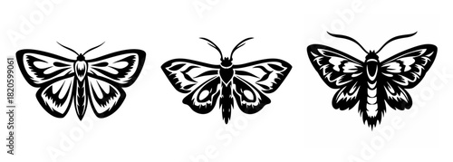 Three detailed black and white moth designs ideal for graphics or tattoos showcasing intricate wing patterns