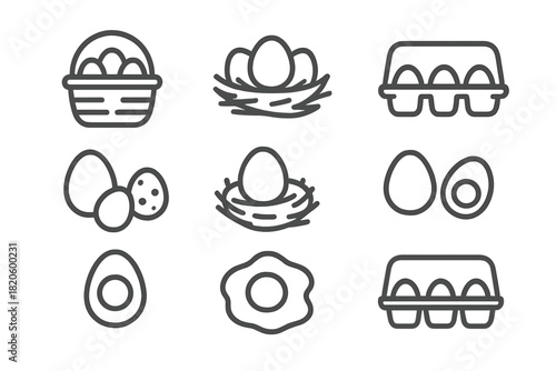 Raw, boiled, and fried eggs, along with eggs stored in nests, baskets, and cartons