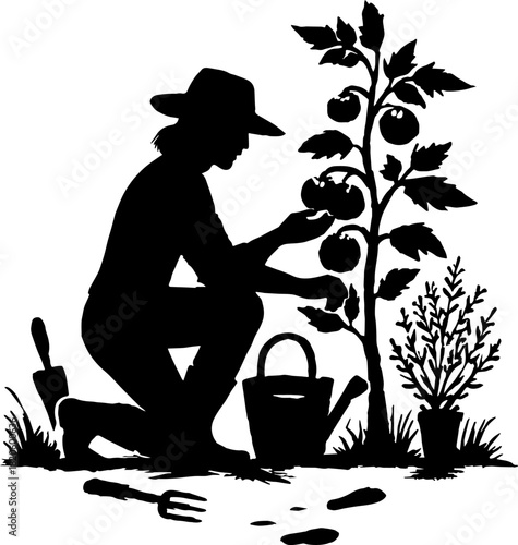 Silhouettes of a gardener kneeling in a vegetable patch, tending to tomatoes and herbs, with watering cans and tools scattered around, under a clear blue sky, on a white background