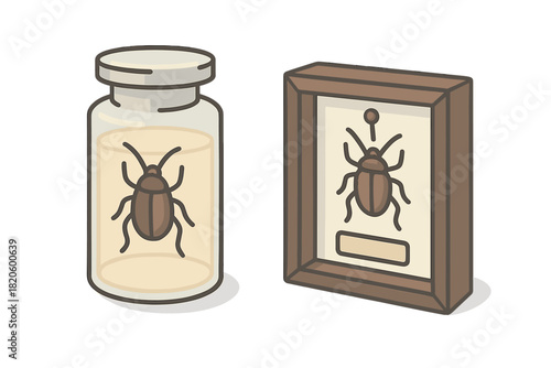 Scientific display of entomology specimens featuring a beetle preserved in a jar and pinned in a wooden frame