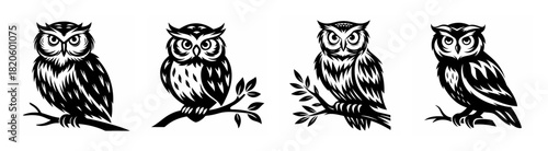 Four detailed black and white owl perched on branches vintage art