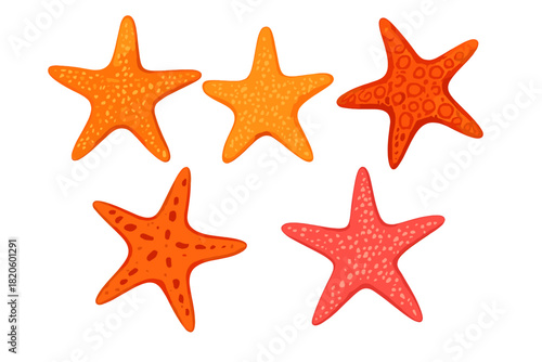 Group of vibrant orange and red sea stars showcasing diverse textures and patterns