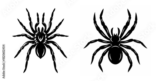 Two detailed black spider depictions with numerous spindly legs on a clean white backdrop