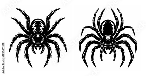Intricate tattoo style black spider designs for spooky or gothic art lovers two detailed arachnids