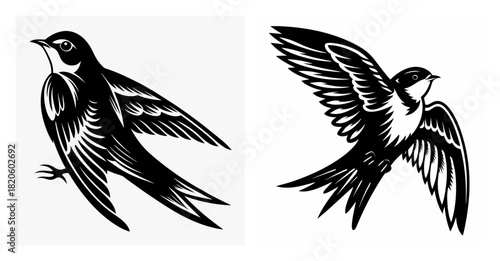 Two swallows in flight hand drawn style artistic rendering of avian movement and graceful wings spread