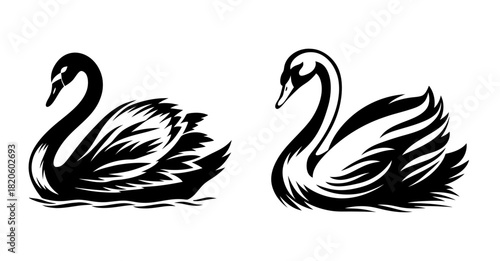 Elegant black swans graceful strokes waterfowl duo artistic interpretation serene wildlife art