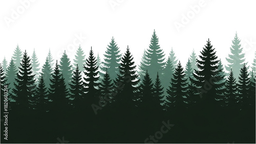 Panoramic silhouette of a dense green coniferous pine tree forest landscape