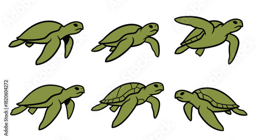 Sea turtle vector illustration green turtle cartoon sea life art