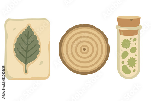 Ancient leaf imprint, wood slice, and microscopic organisms in natural history samples