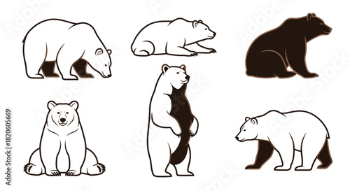 Isolated bear vector illustration set animal wildlife design art