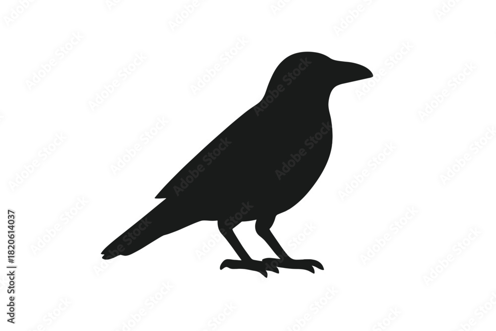 Obraz premium Simple black silhouette of a standing crow or raven isolated on a clean white background
