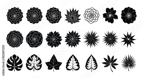 Vector botanical illustration set of flowers and leaves design